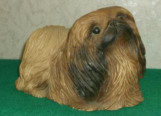 Sandicast Maltese Dog
