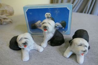 Vintage Porcelain Salco Harlow 3 Old English Sheep Dog Figurines 2 " - 3.  5 "