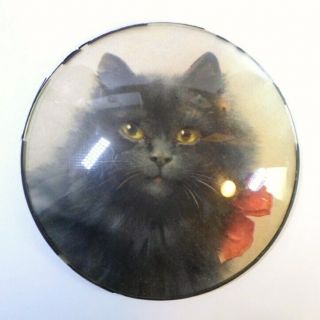 Vintage Peter Watson Studio Black Cat Picture Convex Bubble Glass 6 " Diameter