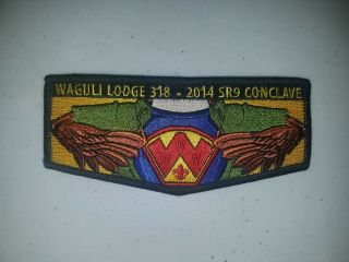Boy Scout Oa 318 Waguli 2014 Sr9 Conclave Flap