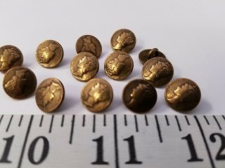 Vintage Buttons Set Of 12 Tiny Gold Metal Tuz2060