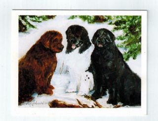 Newfoundland Trio In Snow Notecard Set 6 Note Cards & 6 Envelopes Ruth Maystead