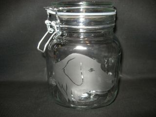 Etched Flat - Coated Retriever Glass Mason Treat Biscuit Cookie Storage Jar