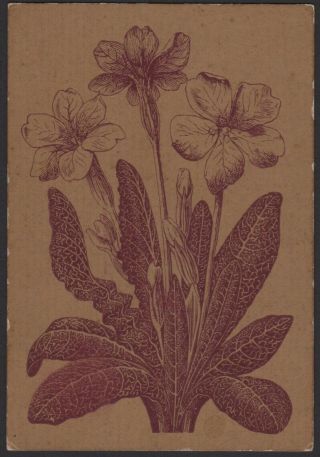 Playing Cards Single Card Old Antique Wide Square Corner Lily Flowers Art Design