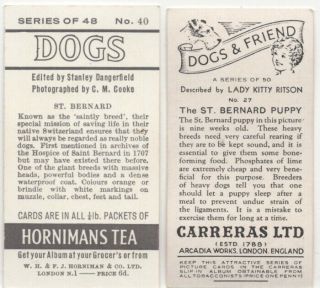 Saint Bernard Dog Pet Canine 8 Different Vintage Ad Cards 4 2
