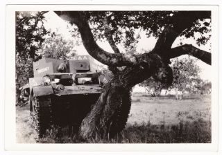 Vintage Wwii Photo Us Light Tank Training Oak Tree Fort Ord Ca 1941 5x3.  5 In