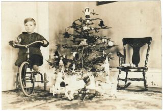 Vtg 20s Snapshot Photo - Boy On Tricycle W/christmas Tree & Toys Steiff Teddy Bear