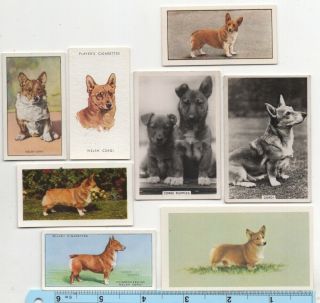 Welsh Corgi Dog Pet Canine 8 Different Vintage Ad Trade Cards 4