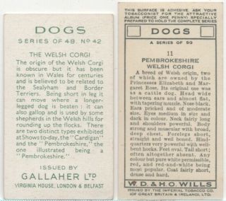 Welsh Corgi Dog Pet Canine 8 Different Vintage Ad Trade Cards 4 2