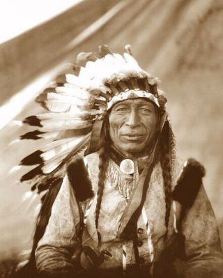 Chief Iron Tail 1905 Oglala Lakota Native American Sepia Photo
