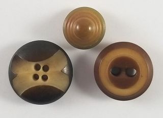 Three Vintage And Unique Carved Vegetable Ivory Buttons