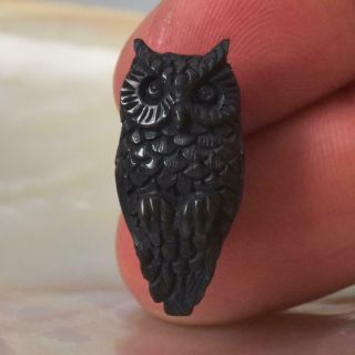 Owl Bird Black Buffalo Horn Focal Bead Art Carving For Pendant Handmade 1.  93 G