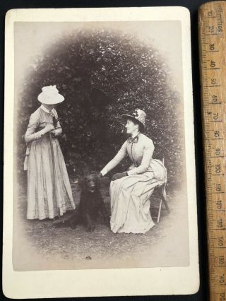 Q Antique Victorian Wj Foster Girls & Spaniel Dog B&w Bed Photo Cabinet Card
