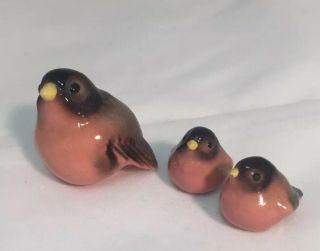 Hagen Renaker Vintage Miniature Mother Robin And Two Chicks