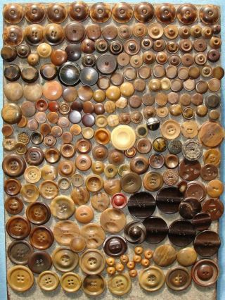 217 Vintage Buttons Vegetable Ivory Tagua Nut & More Whistle Tops Browns Tans