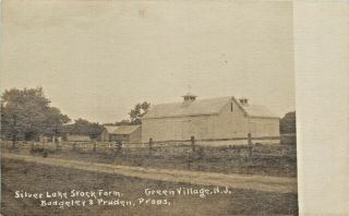 A View Of The Silver Lake Stock Farm,  Green Village,  Jersey Nj Rppc