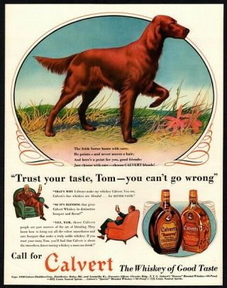 1938 Calvert Whiskey - Cute Brown Irish Setter Pupp Dog Art - Retro Vintage Ad