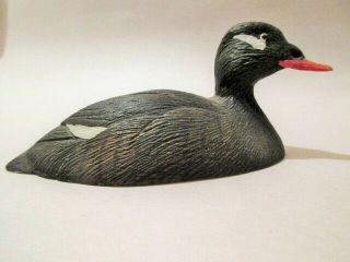 10261 Koelpin Miniature 1982 Franklin Gallery Duck Decoy White - Winged Scoter