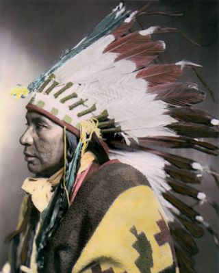 Sego Shoshone Native American Indian 1899 8x10 " Hand Color Tinted Photograph