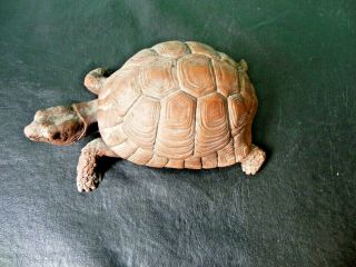 Handcrafted Usa Red Mill Mfg Large Pecan Shell Tortoise With Label - Turtle