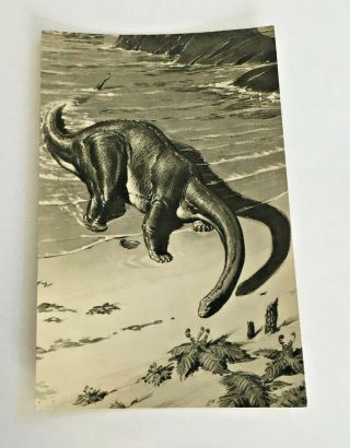 Apatosaurus Dinosaur Postcard,  British Museum Natural History,  Neave Parker