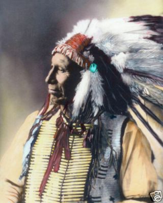 American Horse Native American Sioux Indian 1898 8x10 Hand Color Tinted Photo
