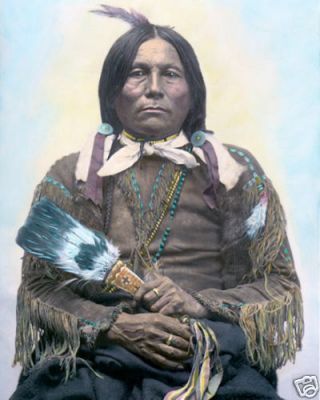 Gonkon Kiowa Apache Native American Indian 1894 8x10 " Hand Color Tinted Photo