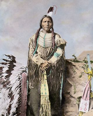 Little Big Man Native American Indian Sioux 1877 8x10 " Hand Color Tinted Photo