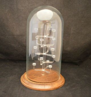 5 Tier 15 Holder Glass Domed Thimble Display Case - Grooved Wood Base