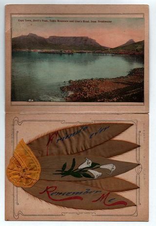 Edwardian Souvenir Silver Leaves & Postcard Table Mountain South Africa