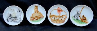 4 Diff.  Orange And Gray Tabby Cat Kittens Mini 3 - Inch Plates Japan W/stands