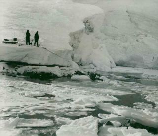 Photograph Of British Graham Land Expedition.  Bertram Gets Over The Bridge Bridg