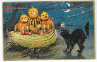 Vintage Halloween Postcard Black Cat Tuck & Sons Series No.  150 Hallowe 