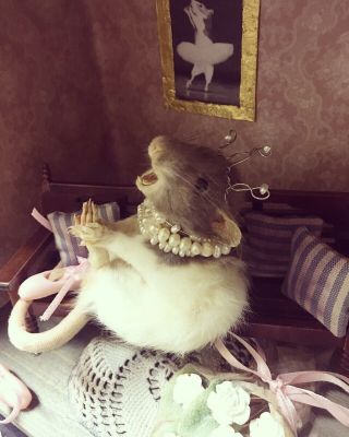 Taxidermy Rat Ballerina Shabby Vintage Brocante In Wooden Box With Bench