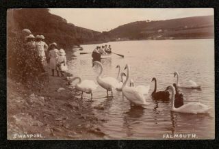 1910 Falmouth Swanpool Real Photo Postcard Cornwall Scene