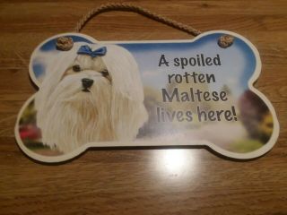 Maltese Dog Sign