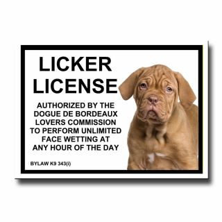 Dogue De Bordeaux Licker License Fridge Magnet Funny