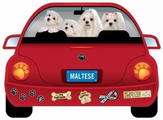 Maltese Pupmobile Car Magnet
