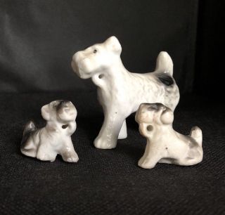 3 Vintage Miniature Retro 1950 ' s Scotty/Schnauzer/Terrier Ceramic Dogs - JAPAN 3