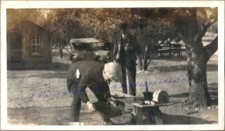 1920s Mexico Men Gold Prospectors Miners Panning Stream Mine Camp Photos 2
