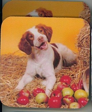Brittany Spaniel Rubber Backed Coasters 0901