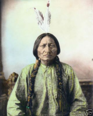 Sitting Bull Native American Sioux Indian 1884 8x10 " Hand Color Tinted Photo
