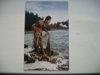 Vintage Hawaii Post Card 1960 