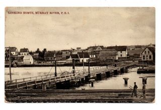 Canada P.  E.  I.  Prince Edward Island Murray River Houses Homes Scene Postcard