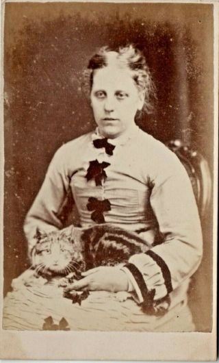 Cdv Lady With Tabby Cat Photographer Charles Johnson Briggate Leeds 1870s