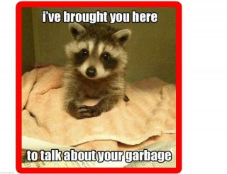 Funny Raccoon Garbage Lecture Refrigerator / Tool Box Magnet Gift Card Insert