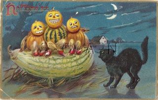 Vintage 1906 - 15 Pc - Embossed - Halloween - Tucks Hallowe 