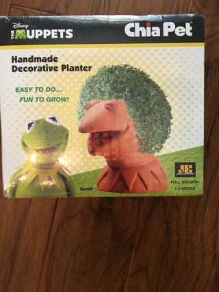 Disney Kermit The Frog The Muppets Chia Pet Handmade Decorative Planter - Nib