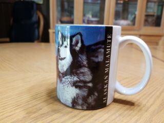 Alaskan Malamute Dog Coffee Mug Xpres 1992 Dann Coffey