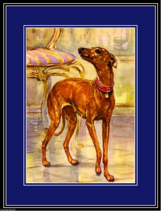 English Print Italian Greyhound Dog Puppy Dogs Puppies Art Vintage Poster
